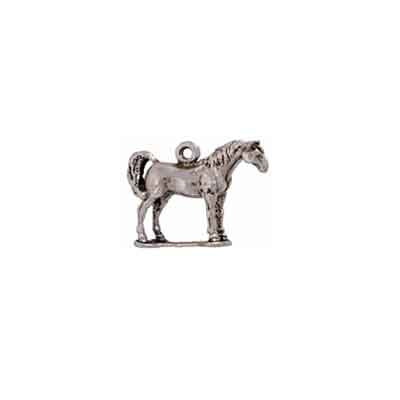 Arabian Horse Charm