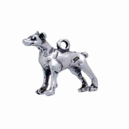 Doberman Pinscher Charm