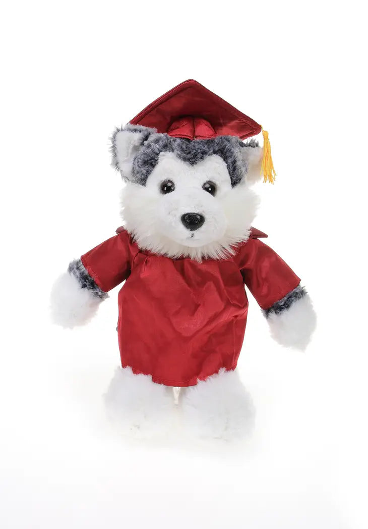 11" Graduation Husky