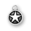 Circled Star Charm