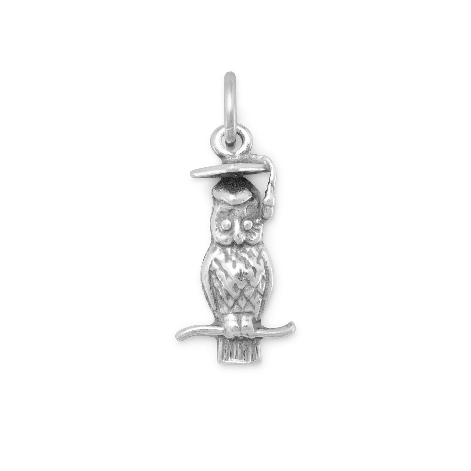 Wise Owl Charm