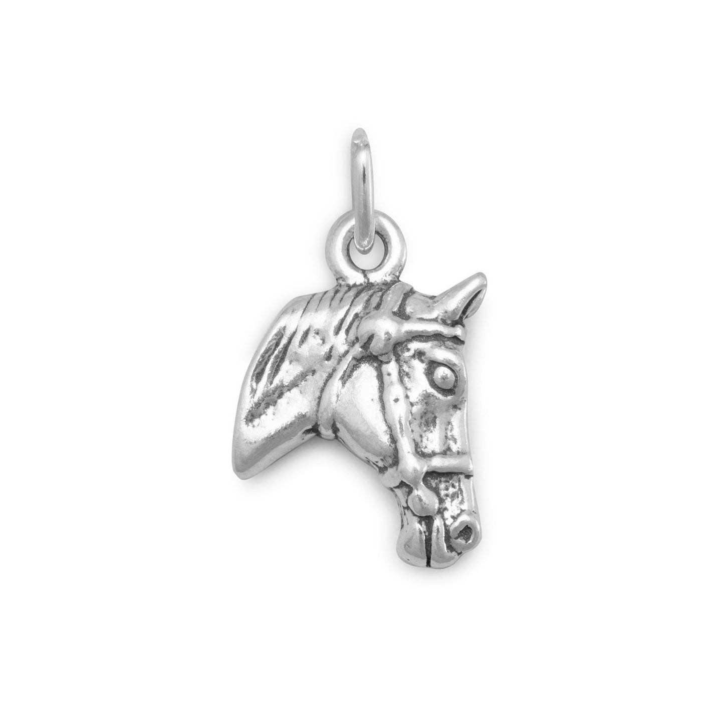 Horse Head Profile Charm