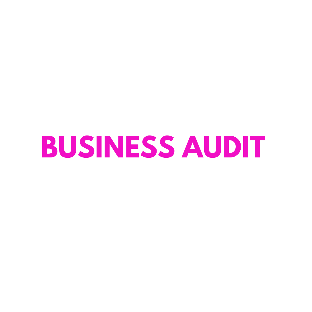 Business Audit