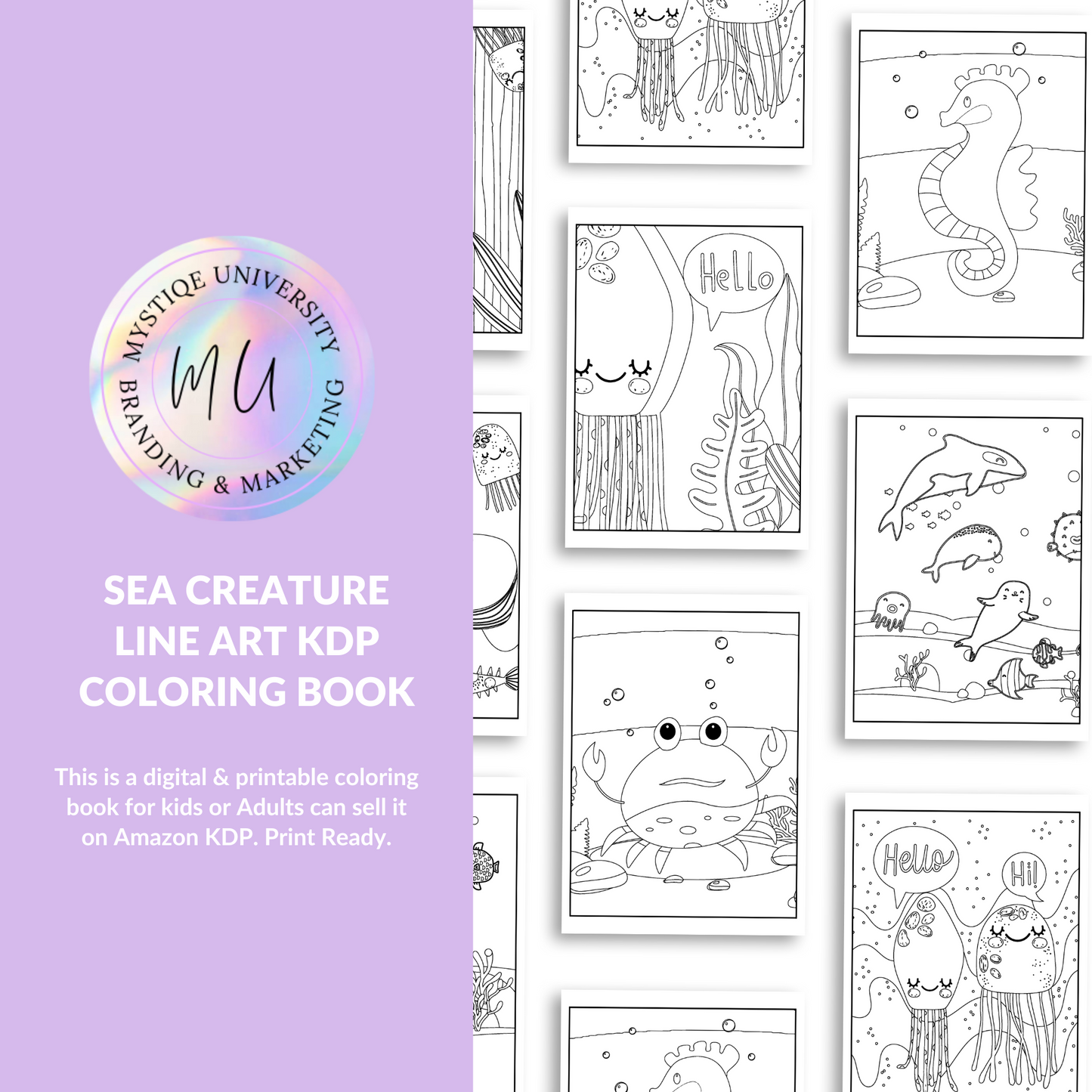 Sea Creature Line Art KDP Coloring Book