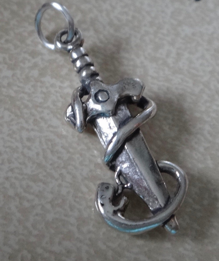 Snake & Dagger Charm