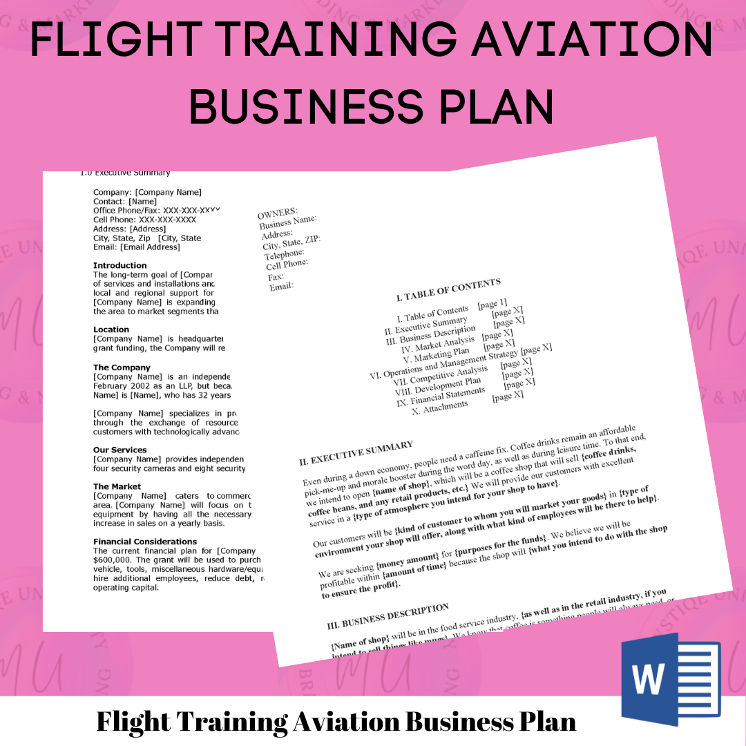 Flight Training Aviation Business Plan