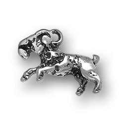 Aries Ram Charm