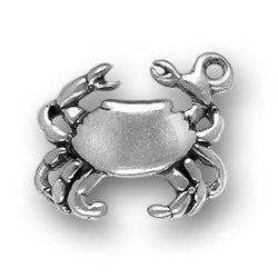 Cancer Crab Charm