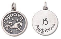 Capricorn - Ambitious Zodiac Disk Charm