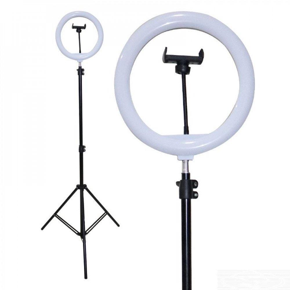 10 inch Selfie Ring Light with 76 inch Tripod Stand