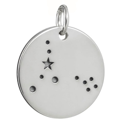 Pisces Zodiac Charm