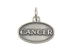 Cancer Zodiac Pendant Charm