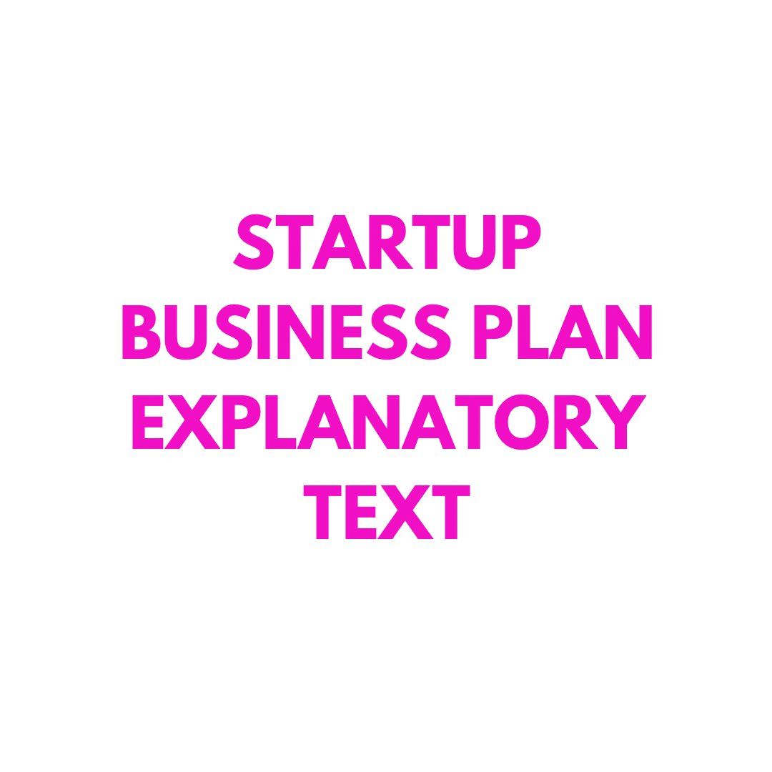 Startup Business Plan Explanatory Text