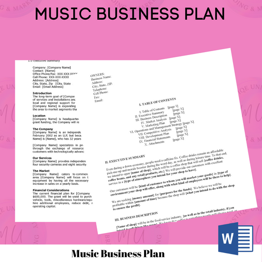 Music Business Plan