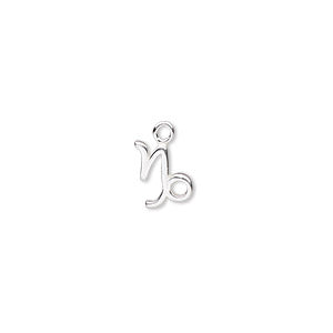 Capricorn Zodiac Charm