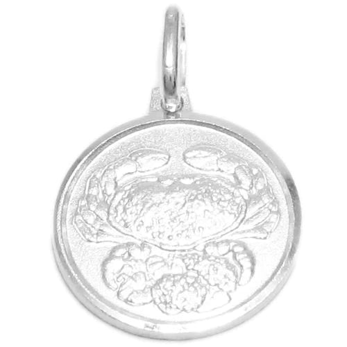 Small Zodiac Sign Medallion Pendant Charm