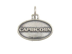 Capricorn Zodiac Pendant Charm