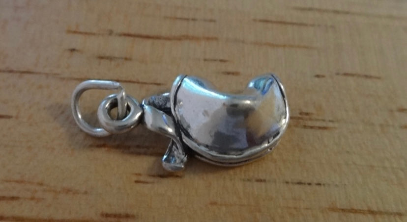 Fortune Cookie Charm